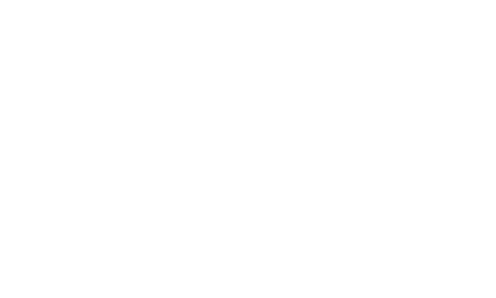 About Chanbiz